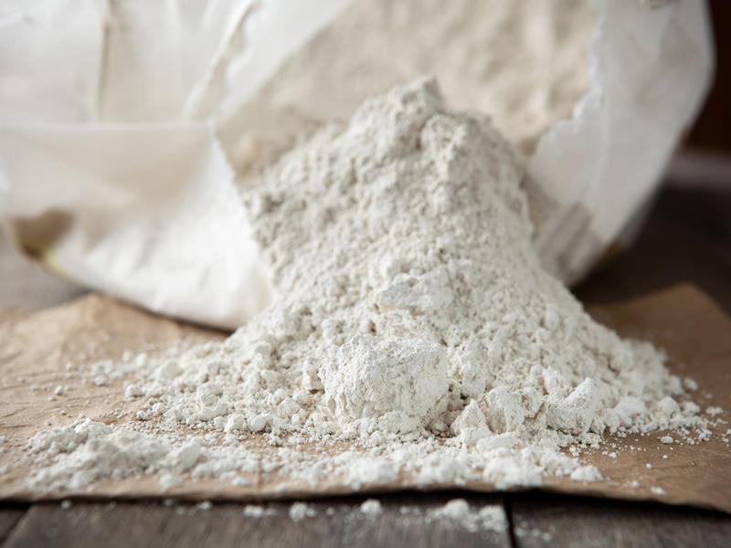 Diatomaceous Earth - Product of Mai - Diatomaceous Earth